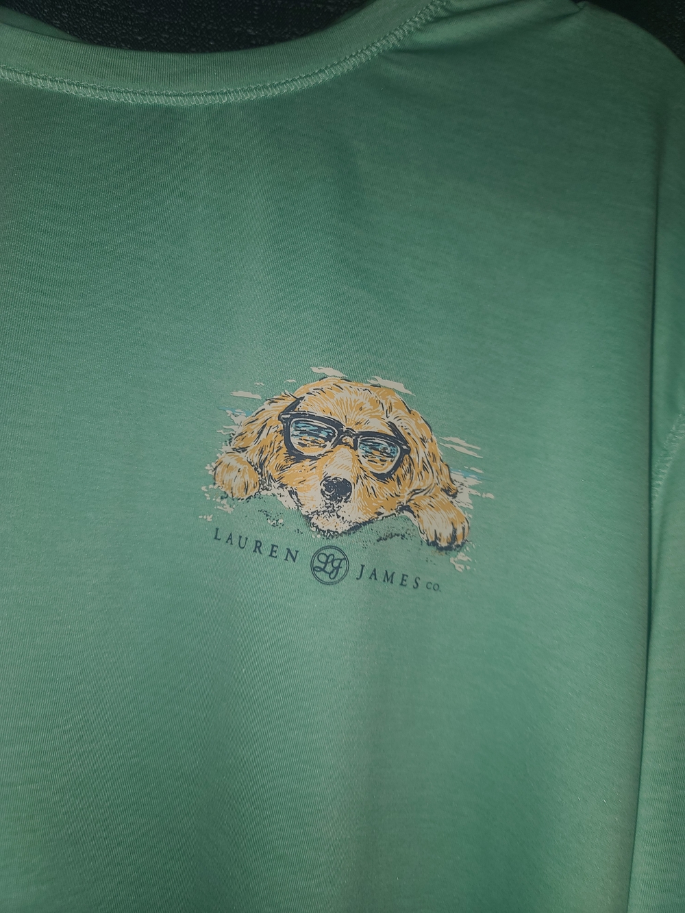 LG Women's Light Teal Long-Sleeve Graphic Tee - Picture 3 of 5